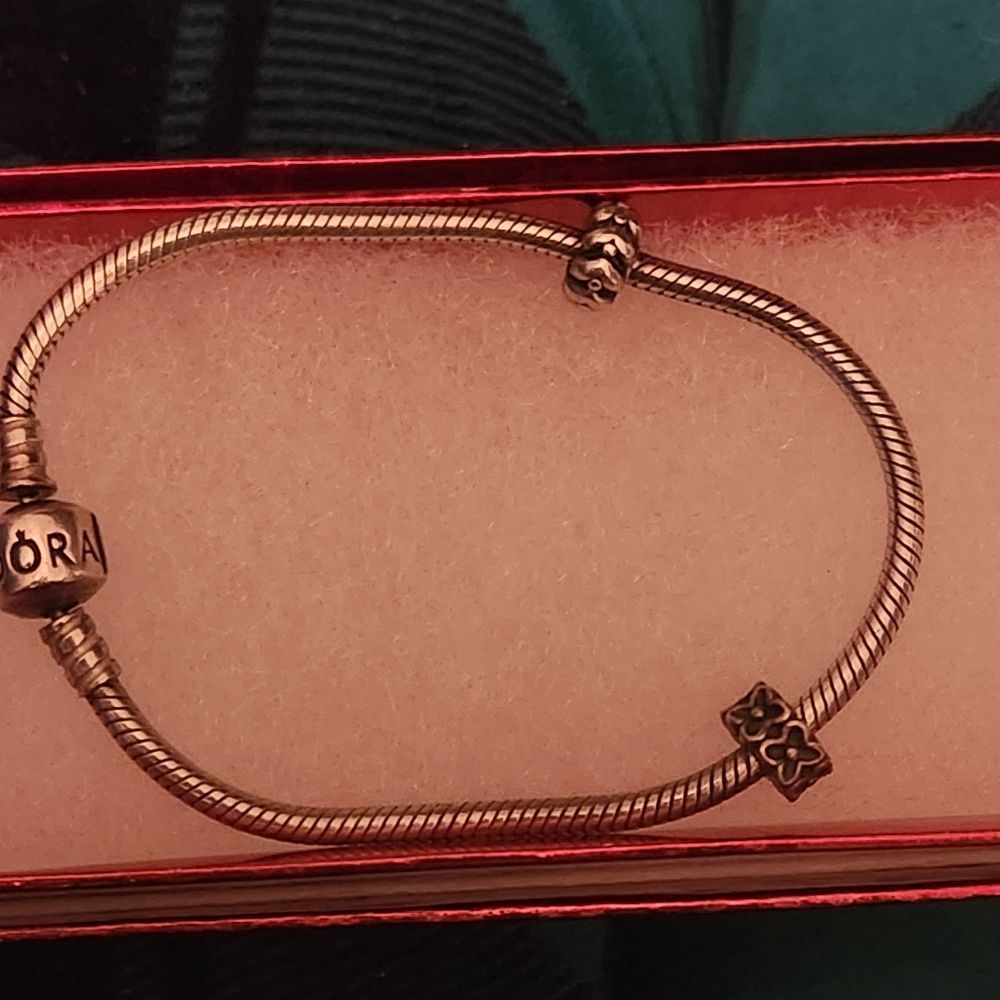 SS Pandora Bracelet